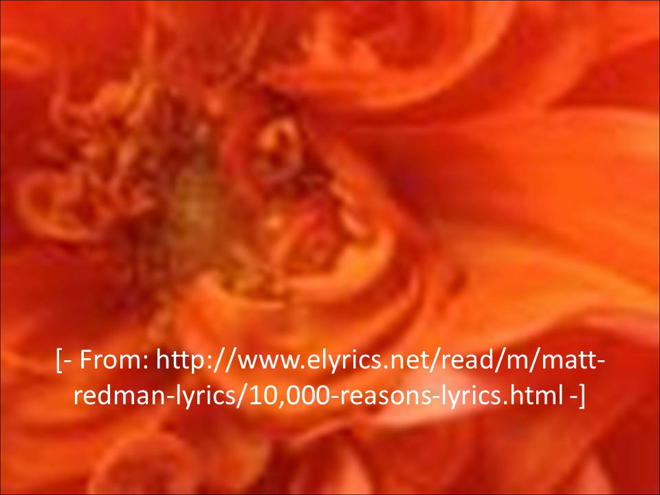 [- From:   redman-lyrics/10,000-reasons-lyrics.html -]