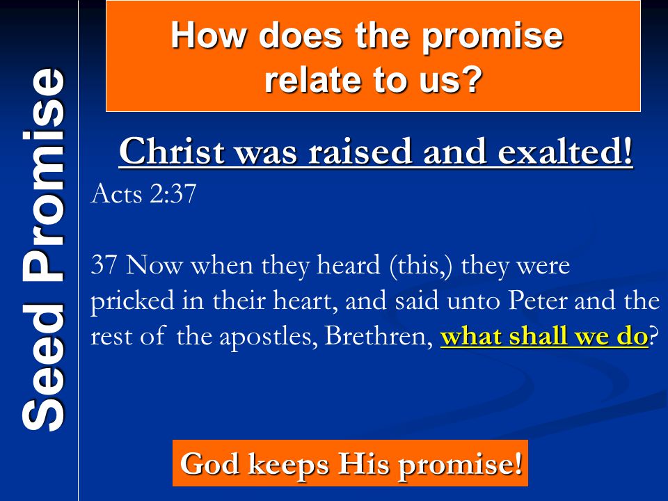 Seed Promise How does the promise relate to us. Christ was raised and exalted.