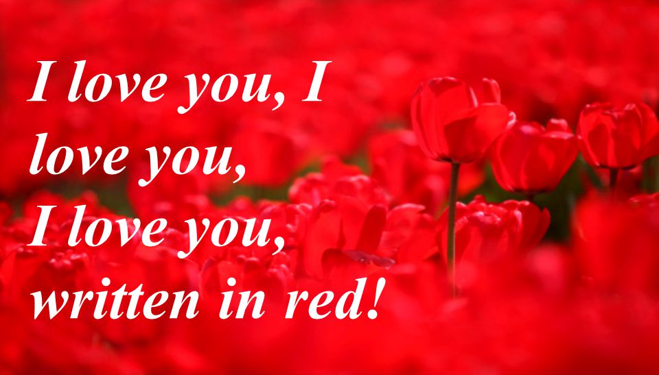 I love you, I love you, written in red!