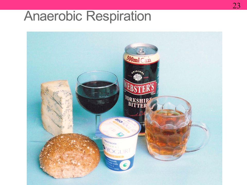 Anaerobic Respiration 23