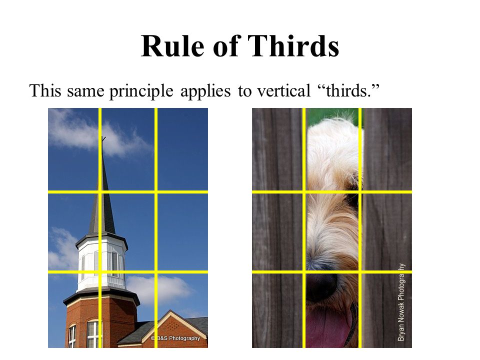Rule of Thirds This same principle applies to vertical thirds.