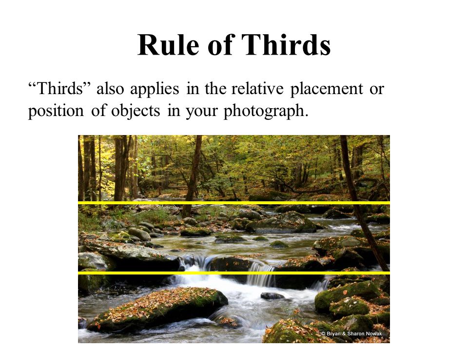 Rule of Thirds Thirds also applies in the relative placement or position of objects in your photograph.