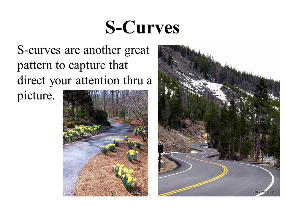 S-Curves S-curves are another great pattern to capture that direct your attention thru a picture.
