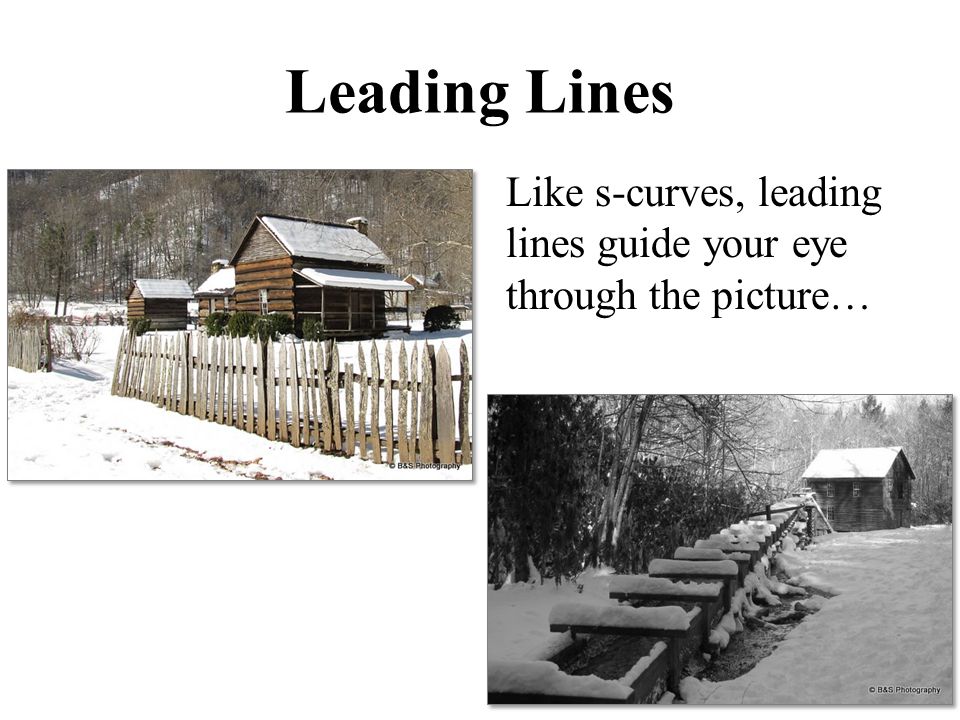 Leading Lines Like s-curves, leading lines guide your eye through the picture…