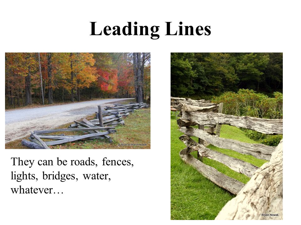 Leading Lines They can be roads, fences, lights, bridges, water, whatever…