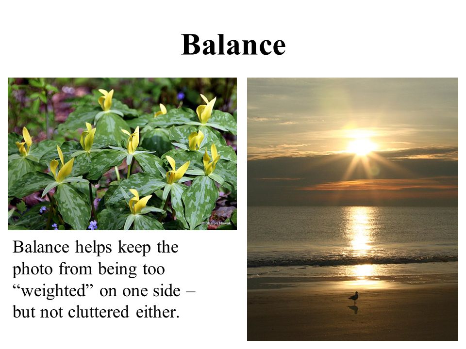 Balance Balance helps keep the photo from being too weighted on one side – but not cluttered either.
