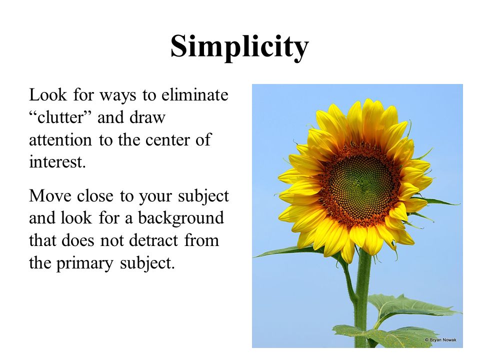 Simplicity Look for ways to eliminate clutter and draw attention to the center of interest.
