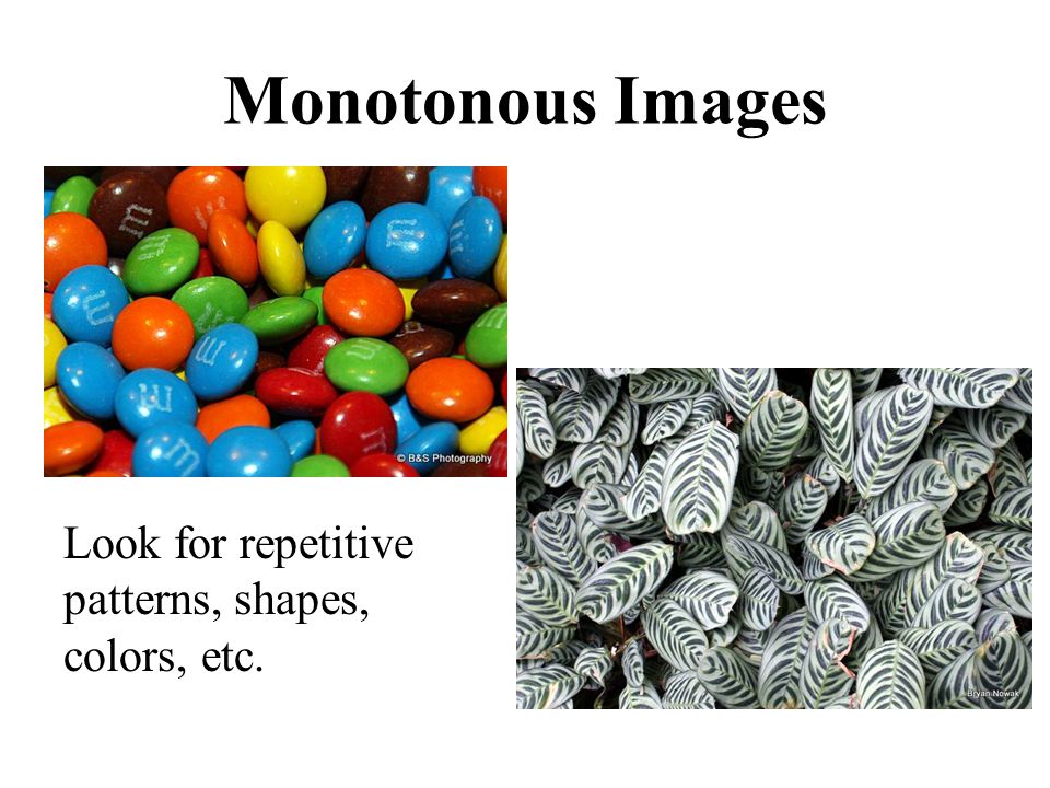 Monotonous Images Look for repetitive patterns, shapes, colors, etc.