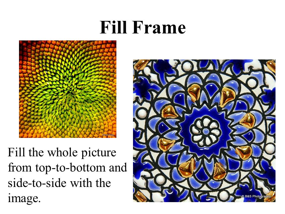 Fill Frame Fill the whole picture from top-to-bottom and side-to-side with the image.