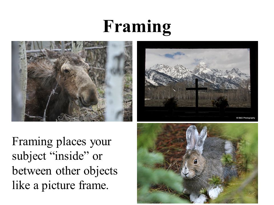 Framing Framing places your subject inside or between other objects like a picture frame.