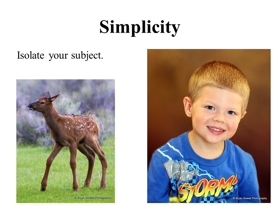 Simplicity Isolate your subject.