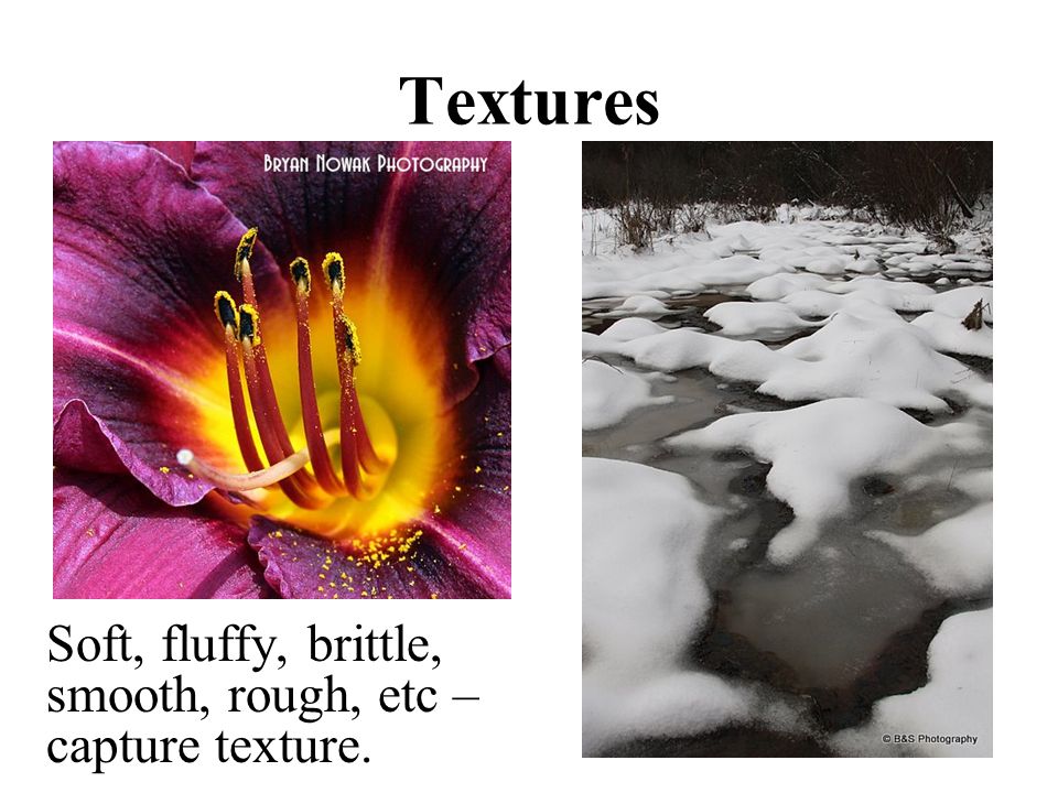 Textures Soft, fluffy, brittle, smooth, rough, etc – capture texture.