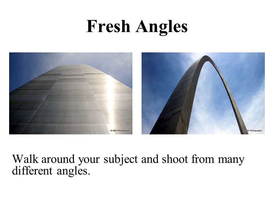 Fresh Angles Walk around your subject and shoot from many different angles.