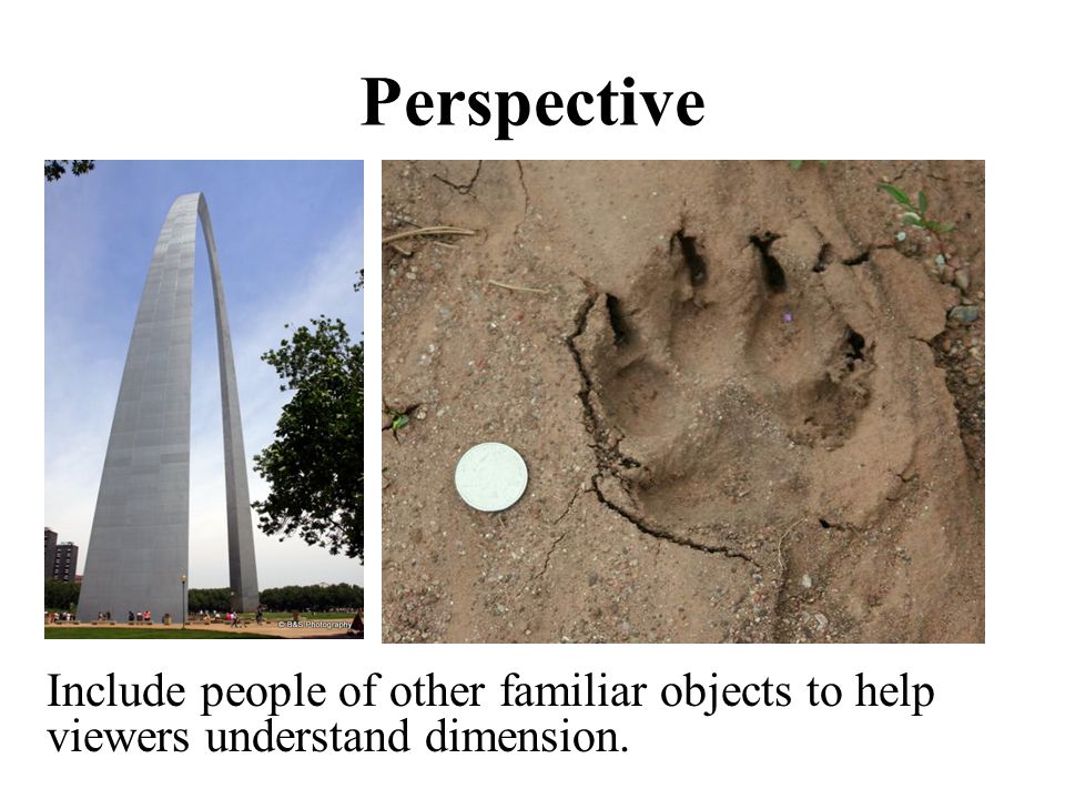 Perspective Include people of other familiar objects to help viewers understand dimension.