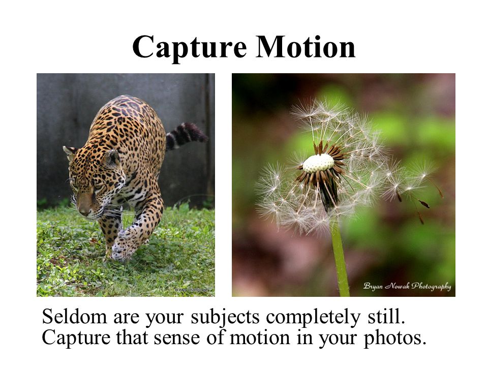 Capture Motion Seldom are your subjects completely still.
