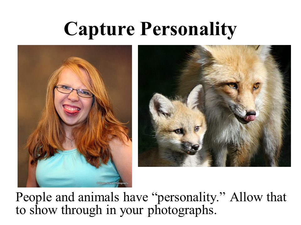 Capture Personality People and animals have personality. Allow that to show through in your photographs.