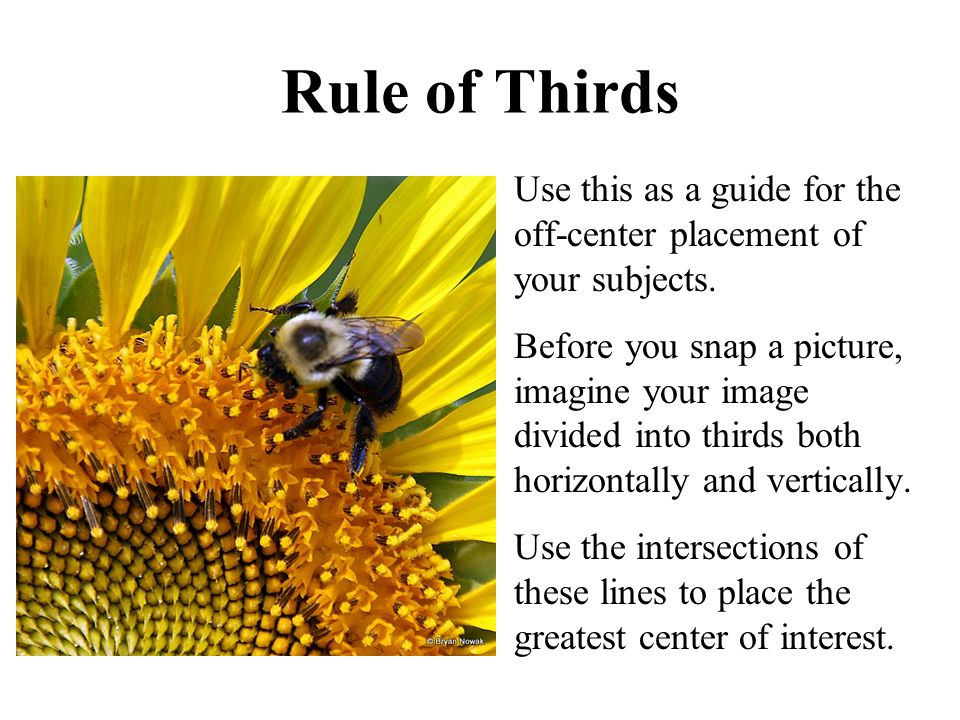 Rule of Thirds Use this as a guide for the off-center placement of your subjects.