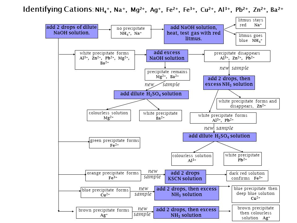 Anion Flow Chart Qualitative Analysis
