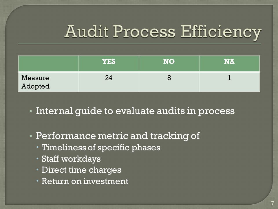 Internal guide to evaluate audits in process Performance metric and tracking of  Timeliness of specific phases  Staff workdays  Direct time charges  Return on investment YESNONA Measure Adopted