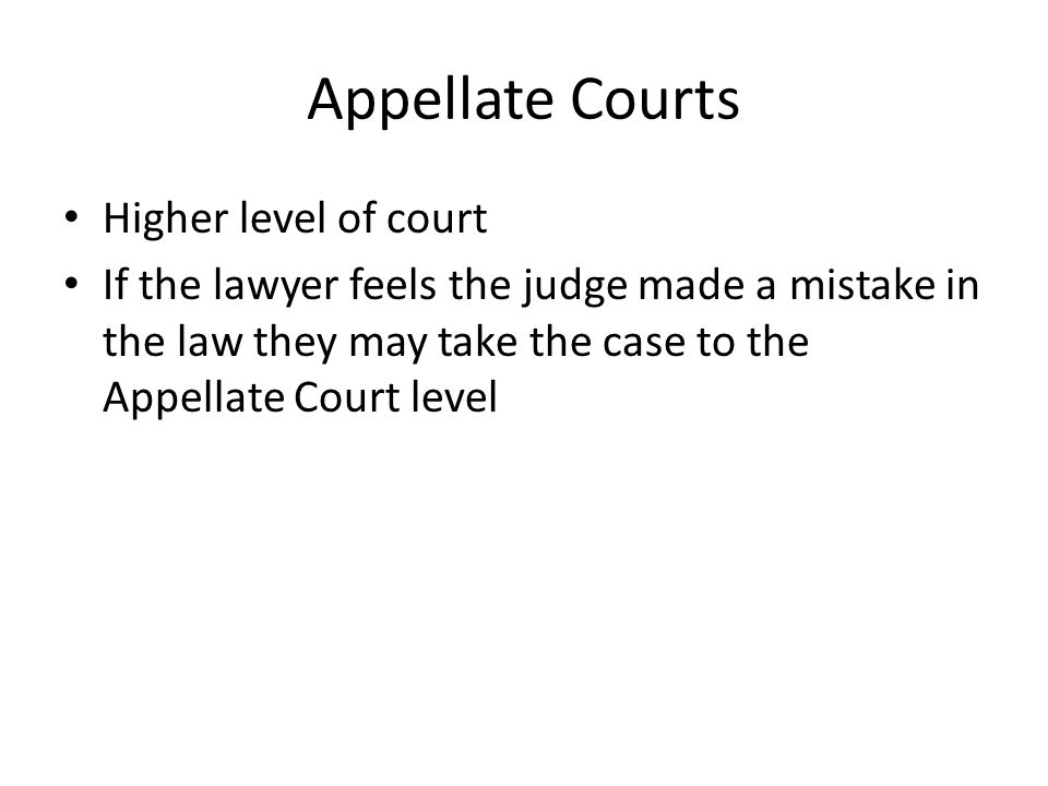 Appellate Courts Higher level of court If the lawyer feels the judge made a mistake in the law they may take the case to the Appellate Court level