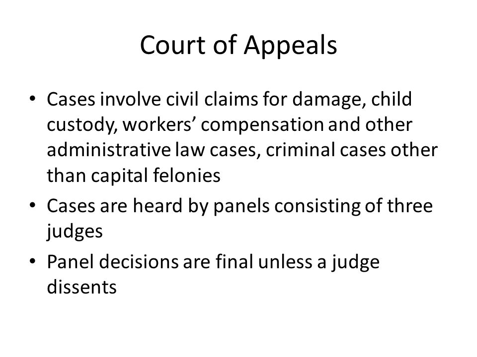 Court of Appeals Cases involve civil claims for damage, child custody, workers’ compensation and other administrative law cases, criminal cases other than capital felonies Cases are heard by panels consisting of three judges Panel decisions are final unless a judge dissents