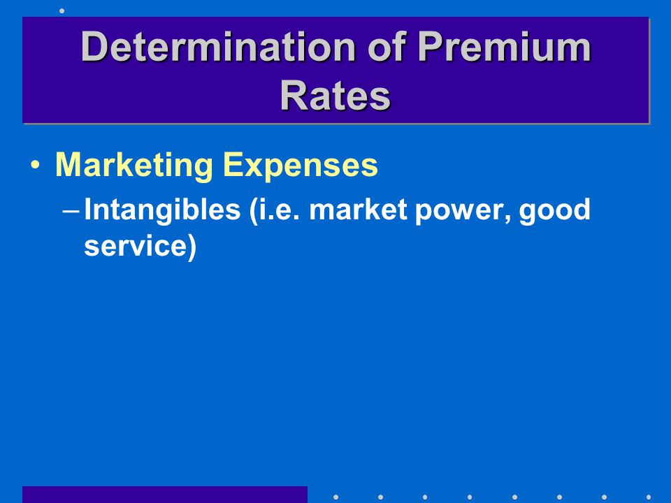 Determination of Premium Rates Marketing Expenses –Intangibles (i.e. market power, good service)