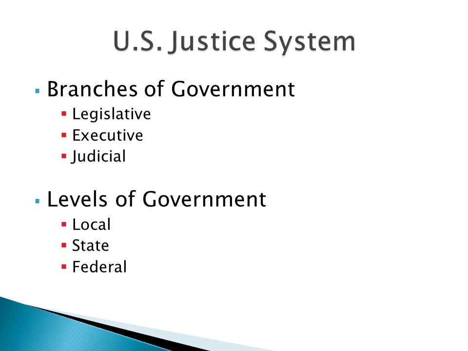  Branches of Government  Legislative  Executive  Judicial  Levels of Government  Local  State  Federal