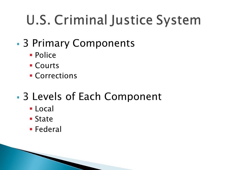  3 Primary Components  Police  Courts  Corrections  3 Levels of Each Component  Local  State  Federal