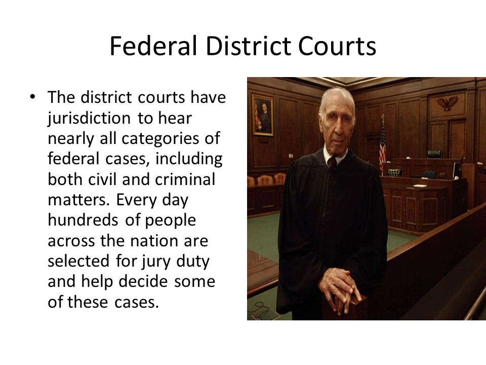 Federal District Courts The district courts have jurisdiction to hear nearly all categories of federal cases, including both civil and criminal matters.