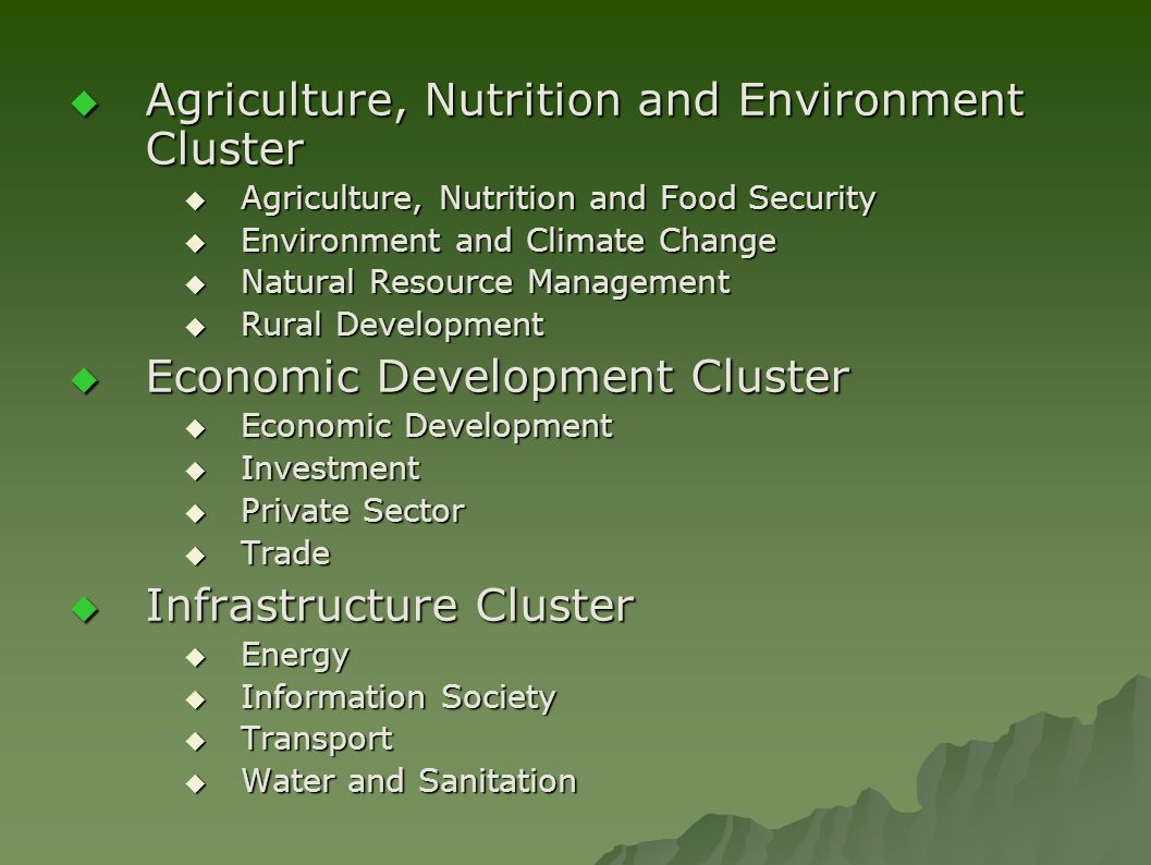  Agriculture, Nutrition and Environment Cluster  Agriculture, Nutrition and Food Security  Environment and Climate Change  Natural Resource Management  Rural Development  Economic Development Cluster  Economic Development  Investment  Private Sector  Trade  Infrastructure Cluster  Energy  Information Society  Transport  Water and Sanitation