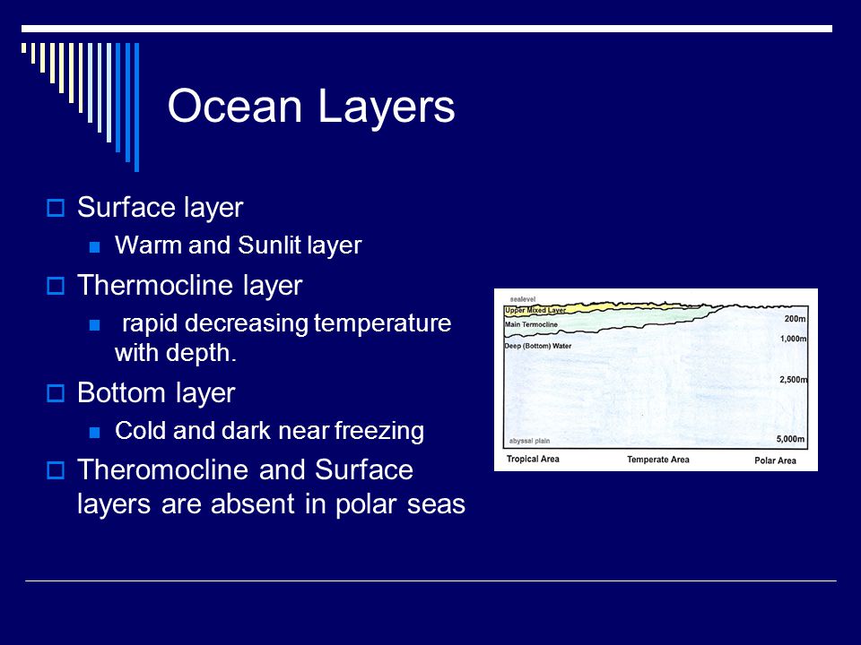 Ocean Layers  Surface layer Warm and Sunlit layer  Thermocline layer rapid decreasing temperature with depth.