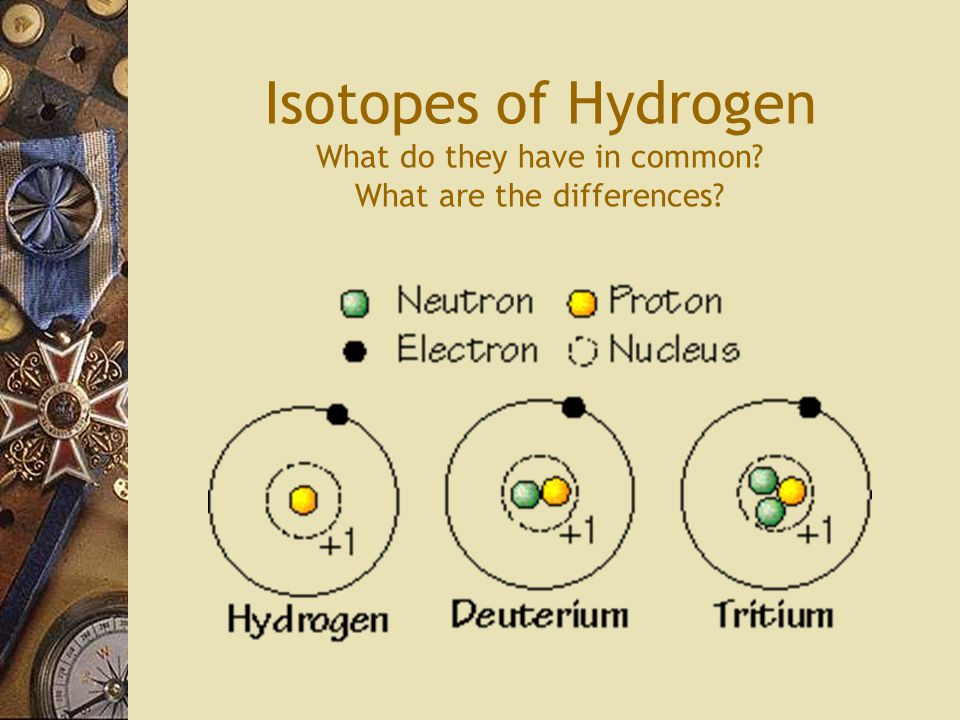 Isotopes of Hydrogen What do they have in common What are the differences