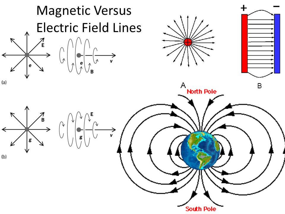 Chapter 29 Magnetic Fields Physics Differences Between Electric Fields and Magnetic  Fields 1)What creates the field a) Electric - charge created. - ppt download