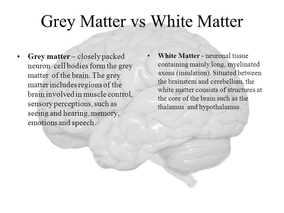 White 2024 matter function