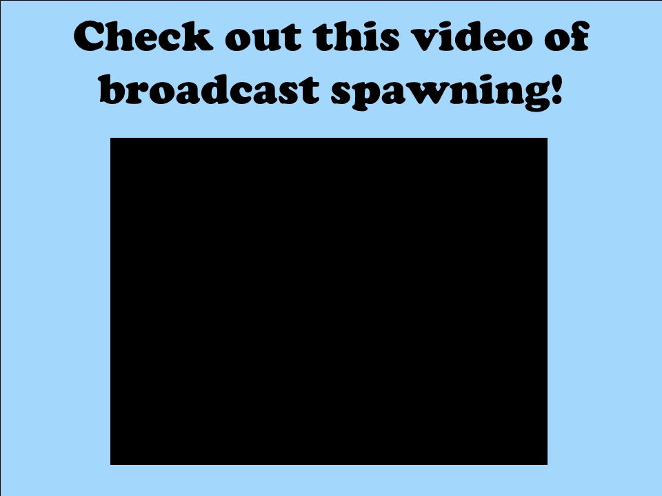 Check out this video of broadcast spawning!