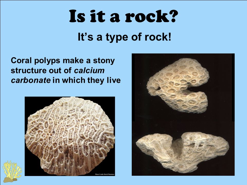 Is it a rock. It’s a type of rock.