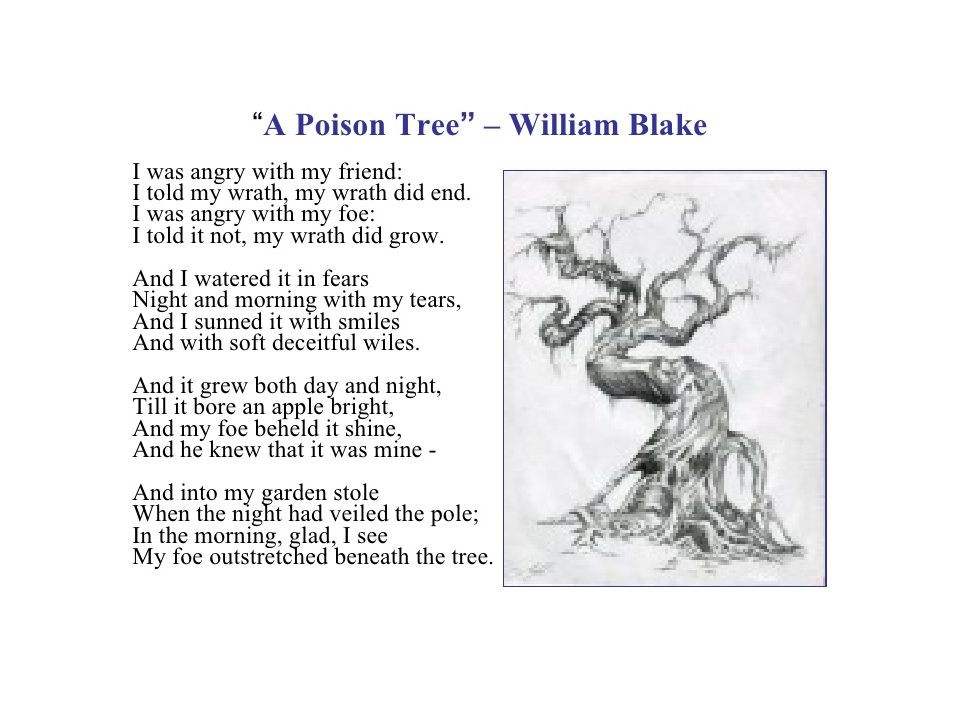Poison перевод на русский песня. Ядовитое дерево Уильям Блейк. Уильям Блейк ядовитое дерево стих. Стихотворение ядовитое дерево Уильям Блейк. Блейк Древо яда.