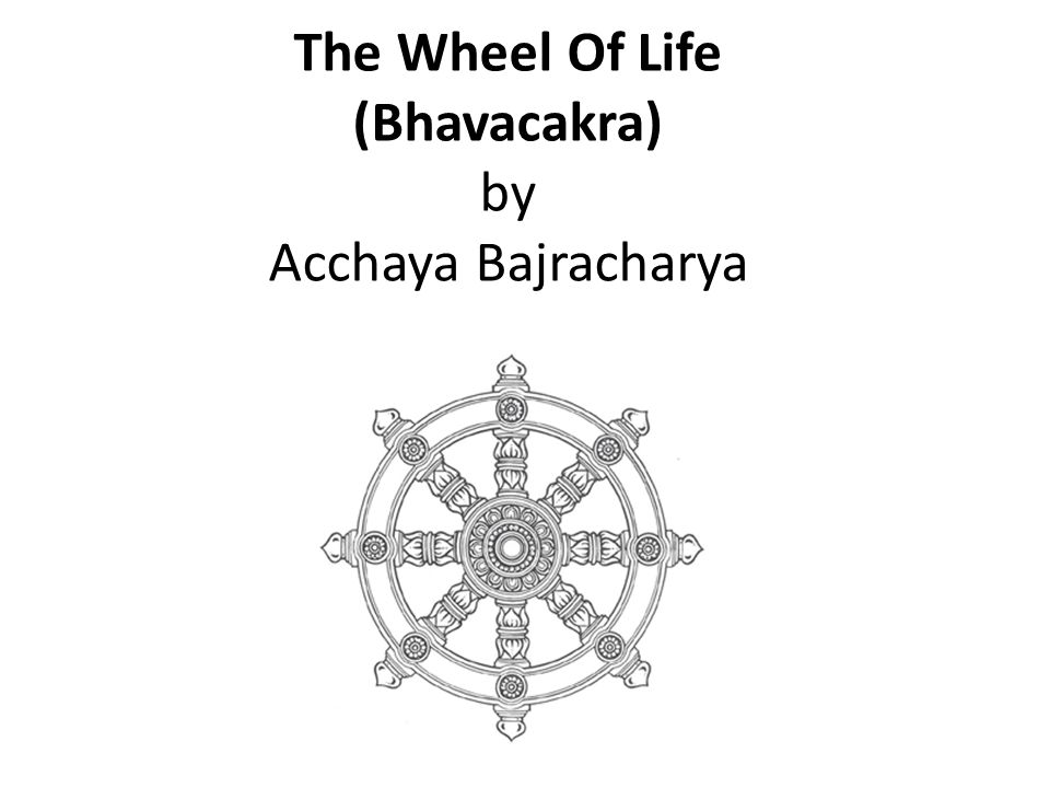 Bhavacakra Chart