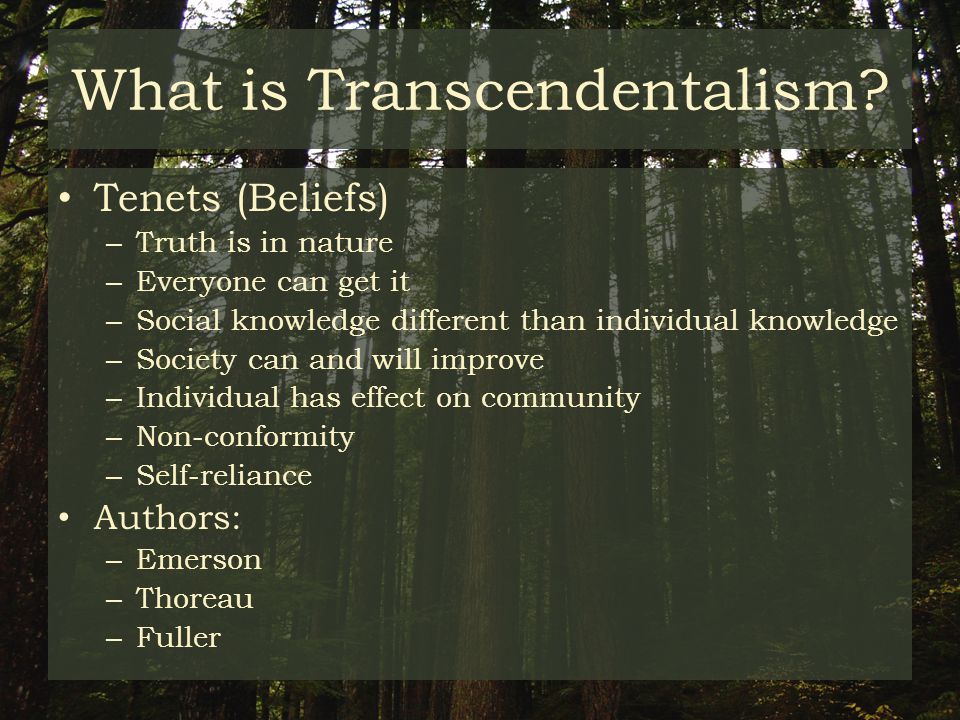 Transcendentalists Alone with What is Transcendentalism? Tenets (Beliefs) – Truth is in nature – Everyone can it – Social knowledge different. ppt download