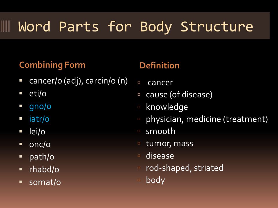 Chapter 2 Body Structure Color And Oncology Chapter 2 Abbreviations A M Am B I D Bid H S Noc P M Pm P R N Q Q 2h Q 4h Q H Ppt Download