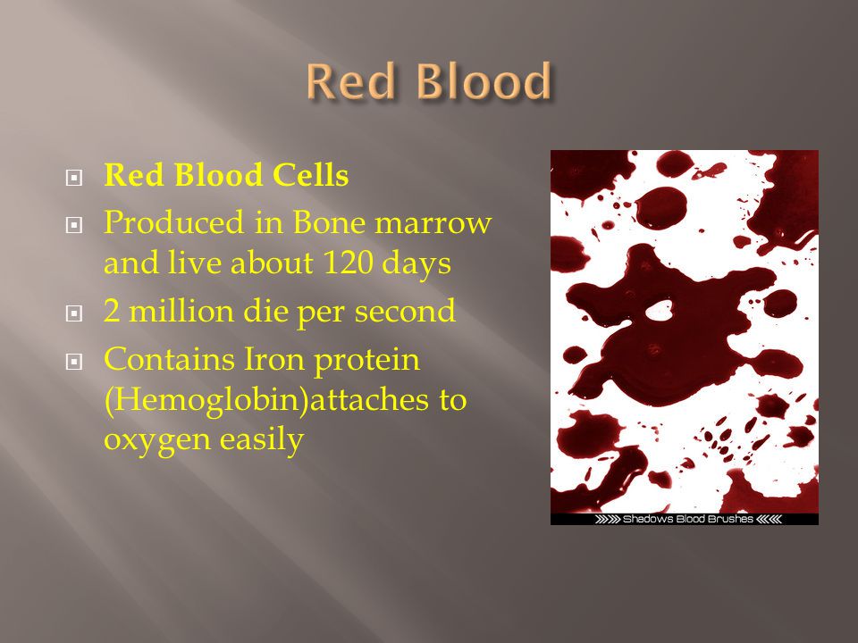  Red Blood Cells  Produced in Bone marrow and live about 120 days  2 million die per second  Contains Iron protein (Hemoglobin)attaches to oxygen easily
