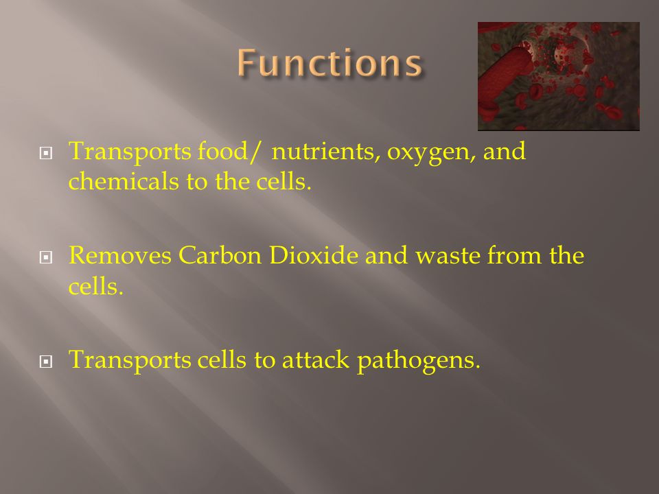  Transports food/ nutrients, oxygen, and chemicals to the cells.