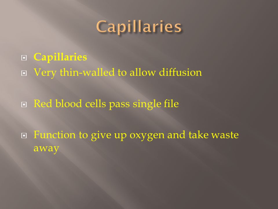  Capillaries  Very thin-walled to allow diffusion  Red blood cells pass single file  Function to give up oxygen and take waste away