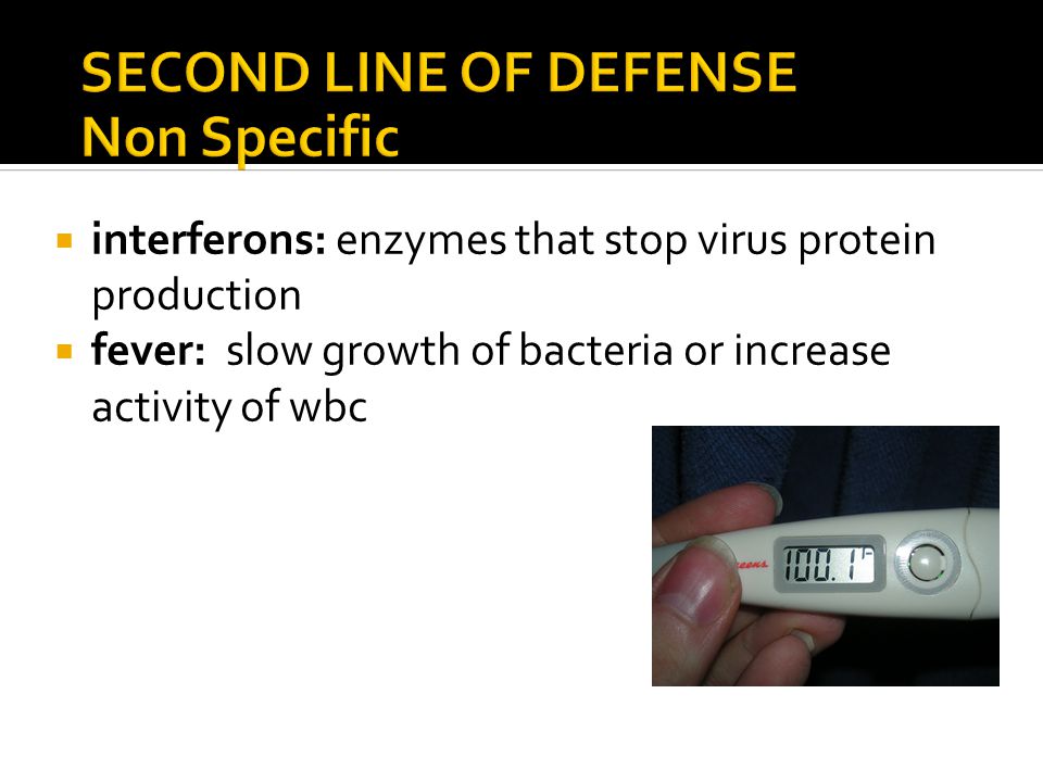 interferons: enzymes that stop virus protein production  fever: slow growth of bacteria or increase activity of wbc
