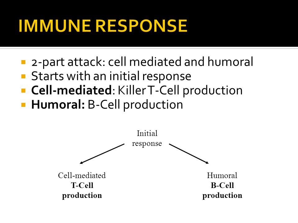  2-part attack: cell mediated and humoral  Starts with an initial response  Cell-mediated: Killer T-Cell production  Humoral: B-Cell production Initial response Humoral B-Cell production Cell-mediated T-Cell production