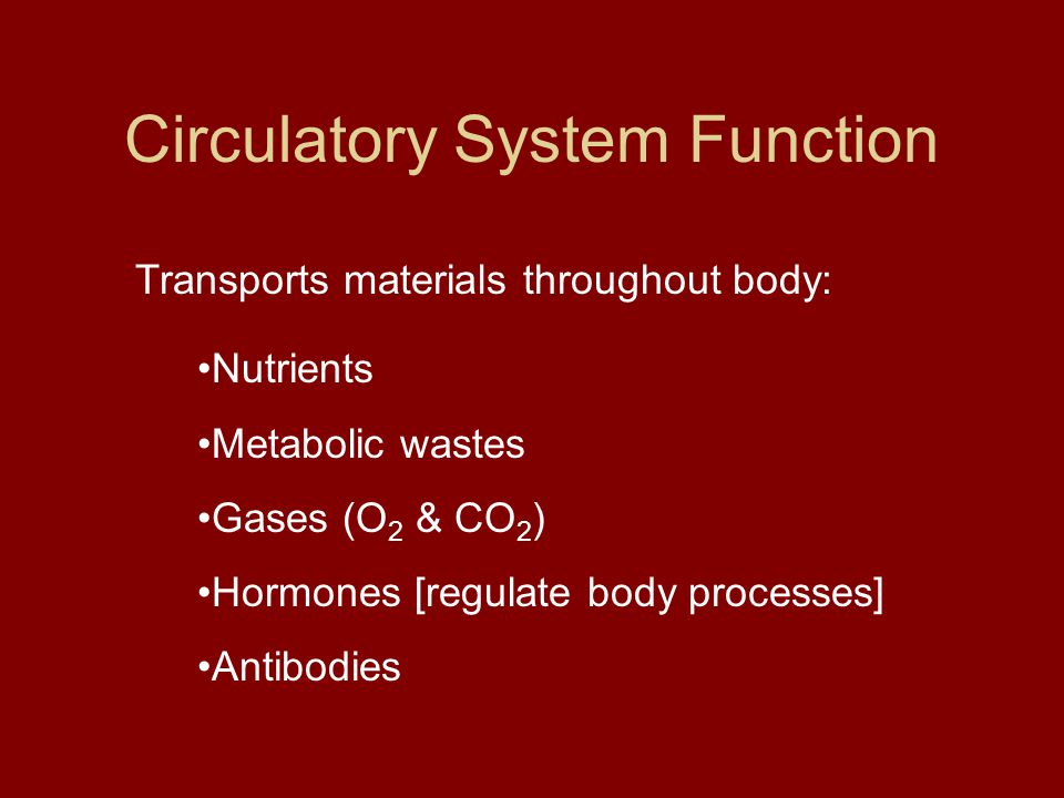 Transports materials throughout body: Nutrients Metabolic wastes Gases (O 2 & CO 2 ) Hormones [regulate body processes] Antibodies Circulatory System Function