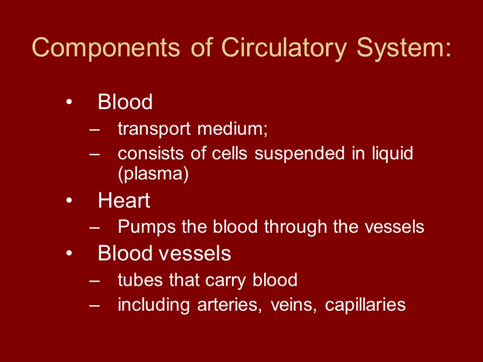 Components of Circulatory System: Blood –transport medium; –consists of cells suspended in liquid (plasma) Heart –Pumps the blood through the vessels Blood vessels –tubes that carry blood –including arteries, veins, capillaries