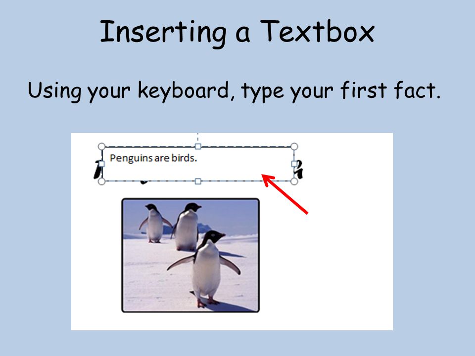 Inserting a Textbox Using your keyboard, type your first fact.