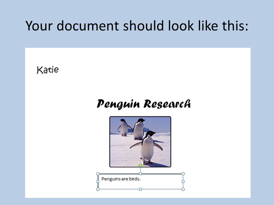 Your document should look like this: