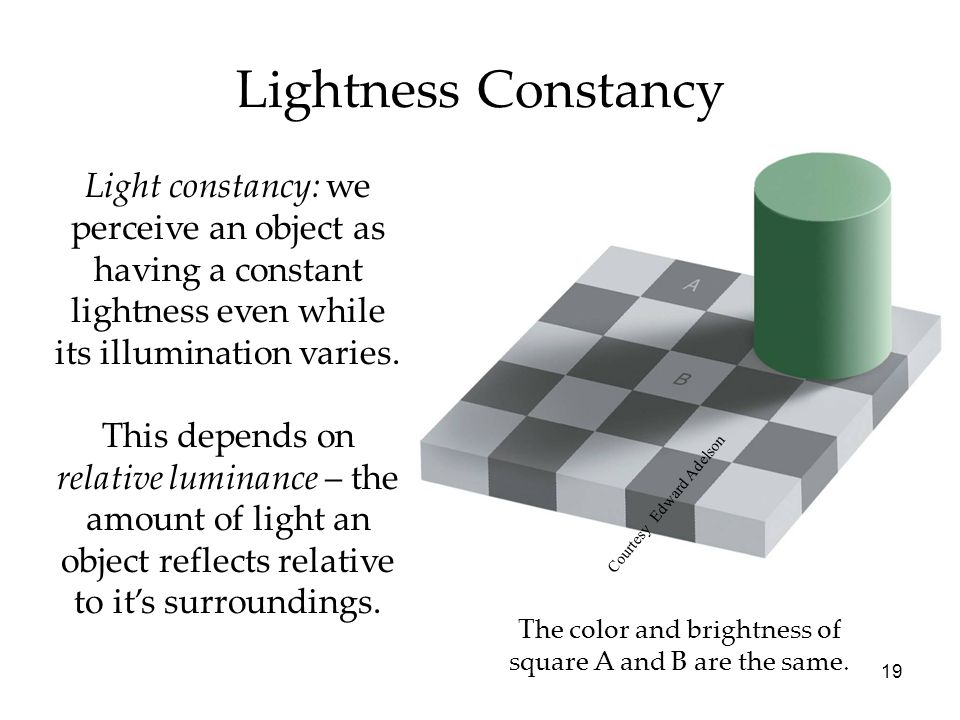lightness constancy